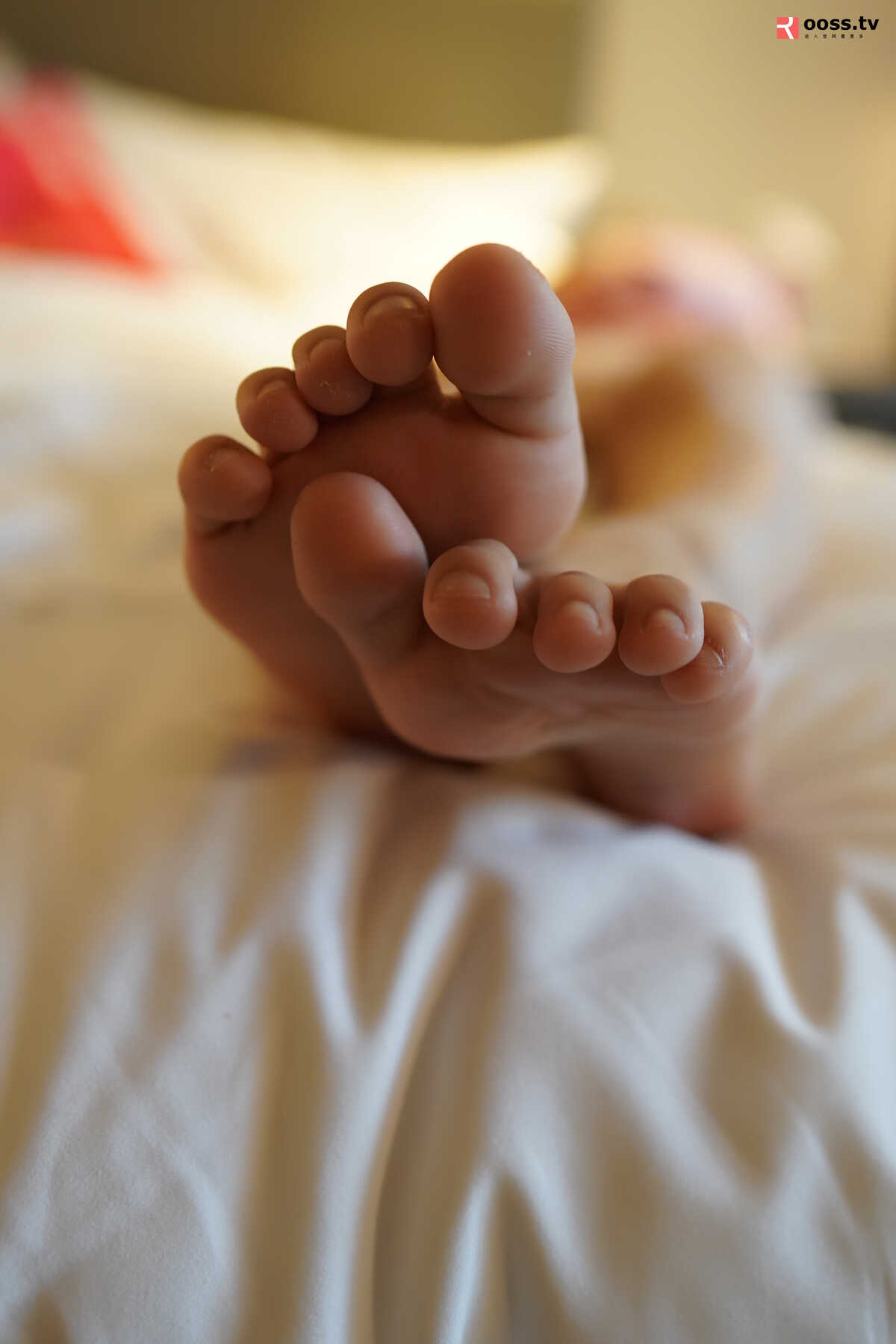 ROSI写真-No.2801 [75P]